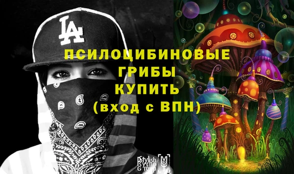 2c-b Богородск
